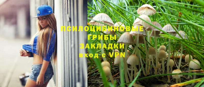 Псилоцибиновые грибы Magic Shrooms  мега зеркало  Заречный 